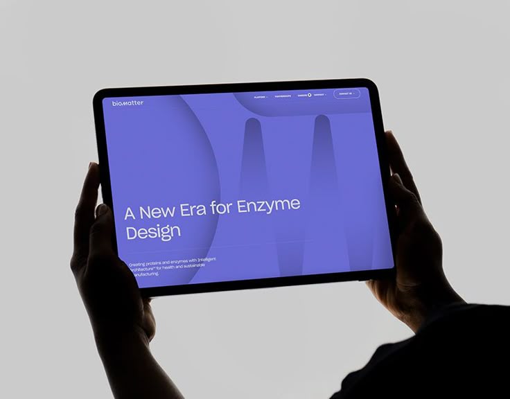 Web Project 3